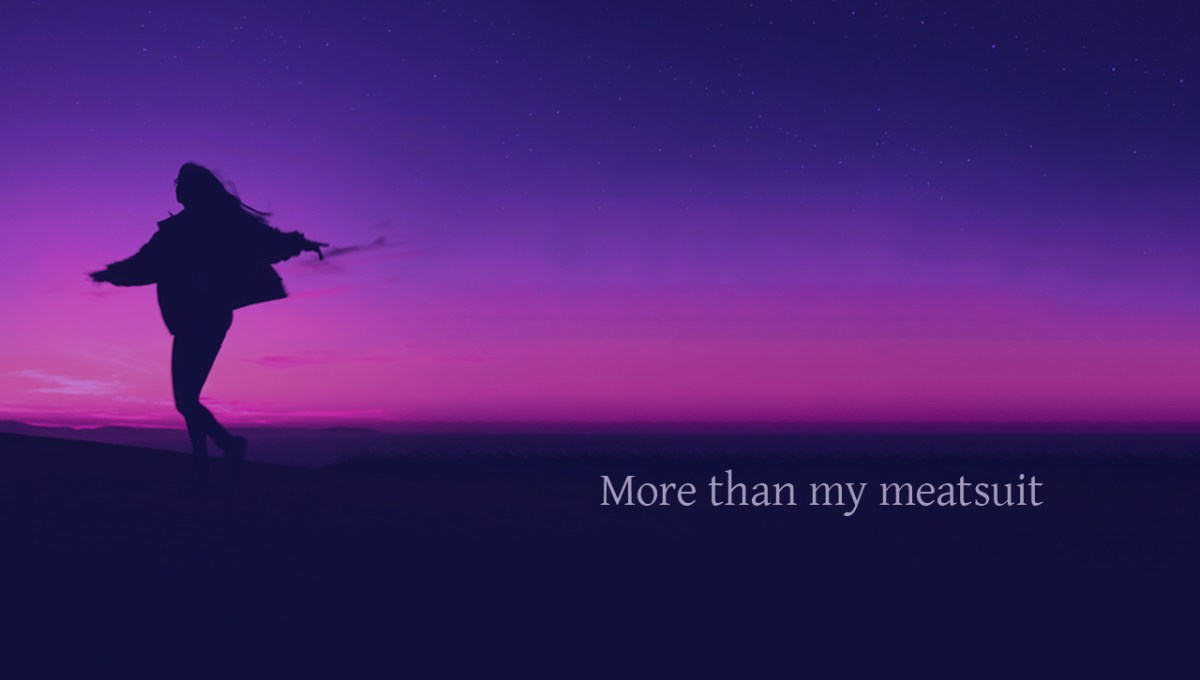More than my&nbsp;meatsuit