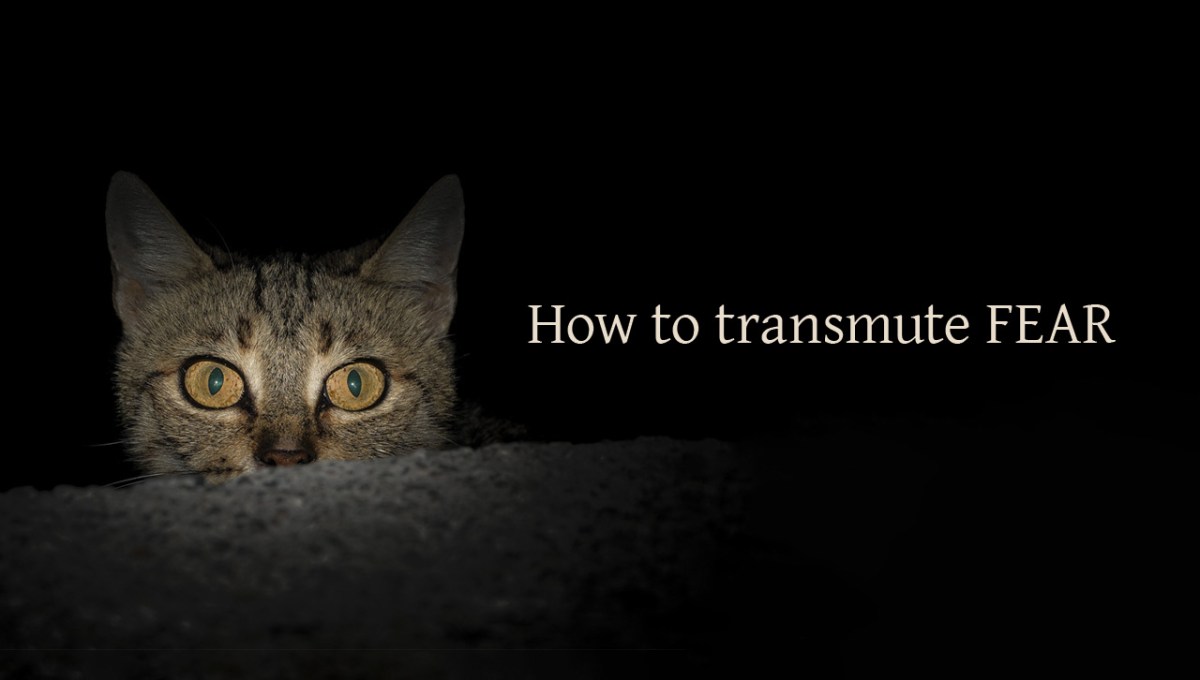 How to transmute&nbsp;fear